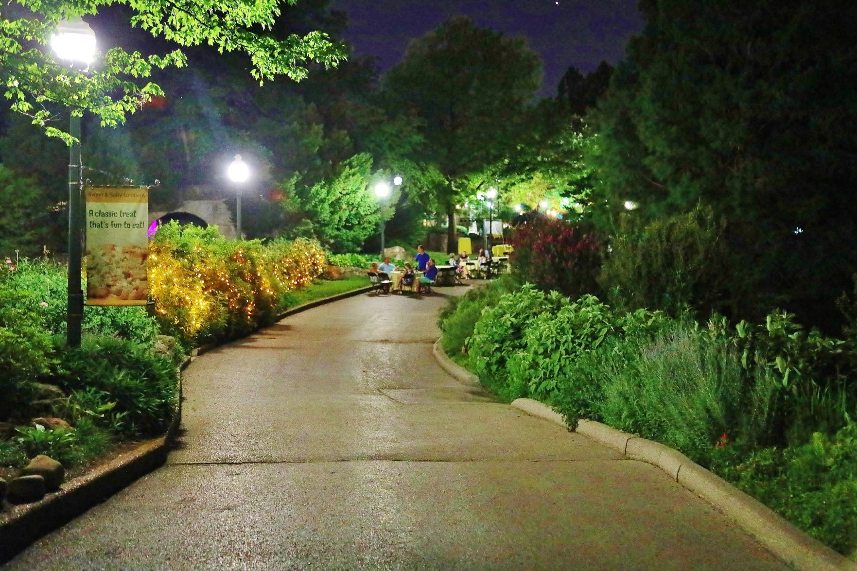 2018-Zoo-Ado-055.JPG